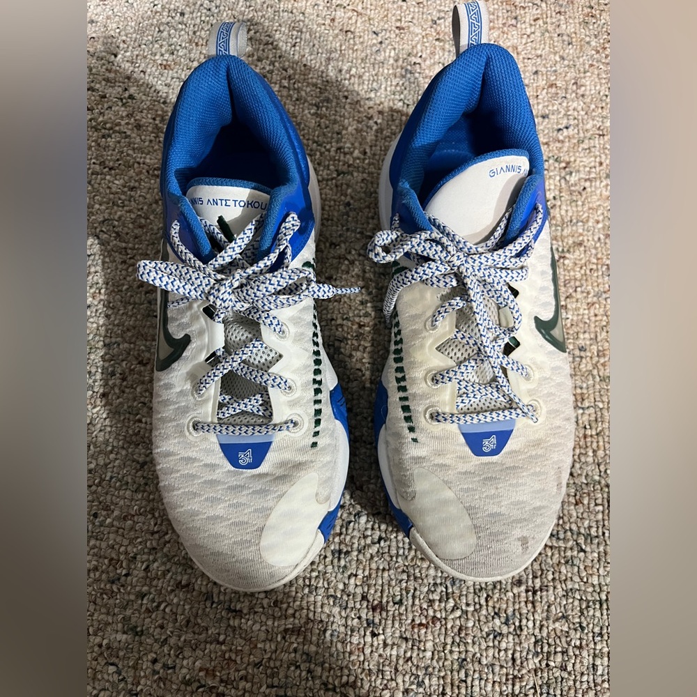 Basic Nike Basketball Sneakers “Giannis”